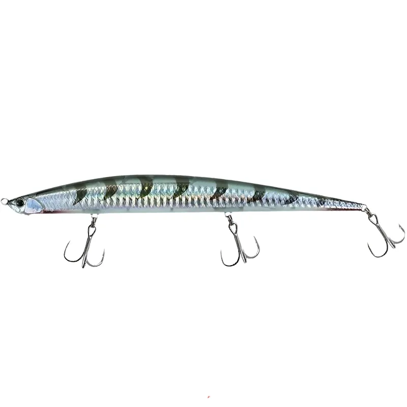 GHN0331 Barracuda Hd