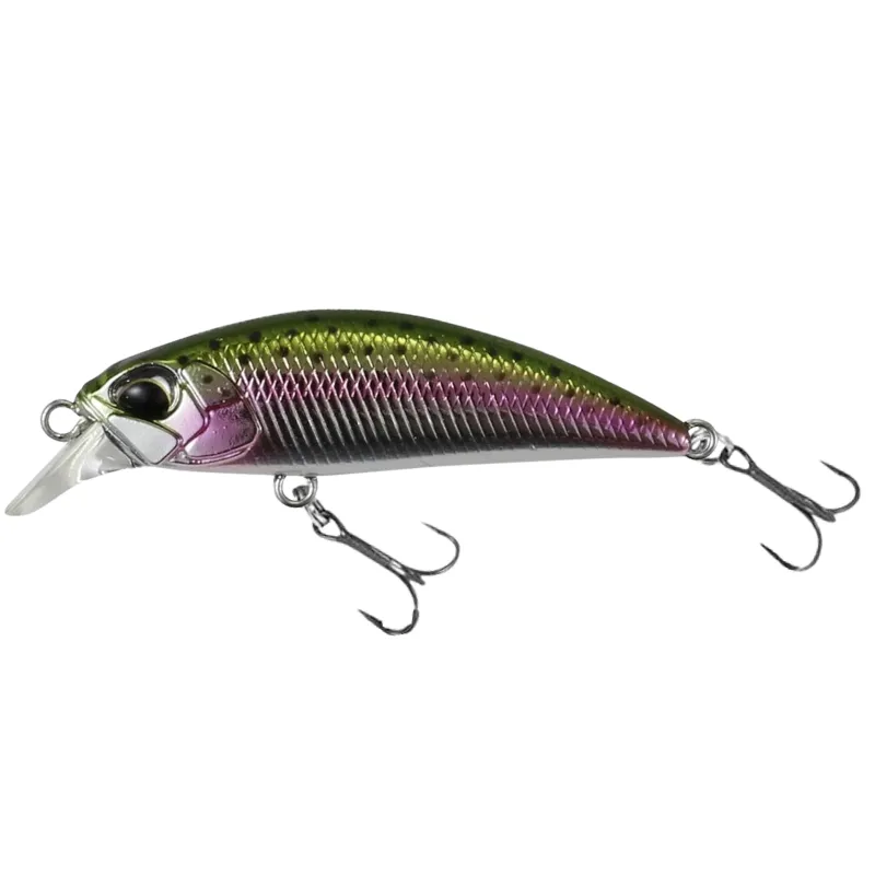 MCC4036 Rainbow Trout