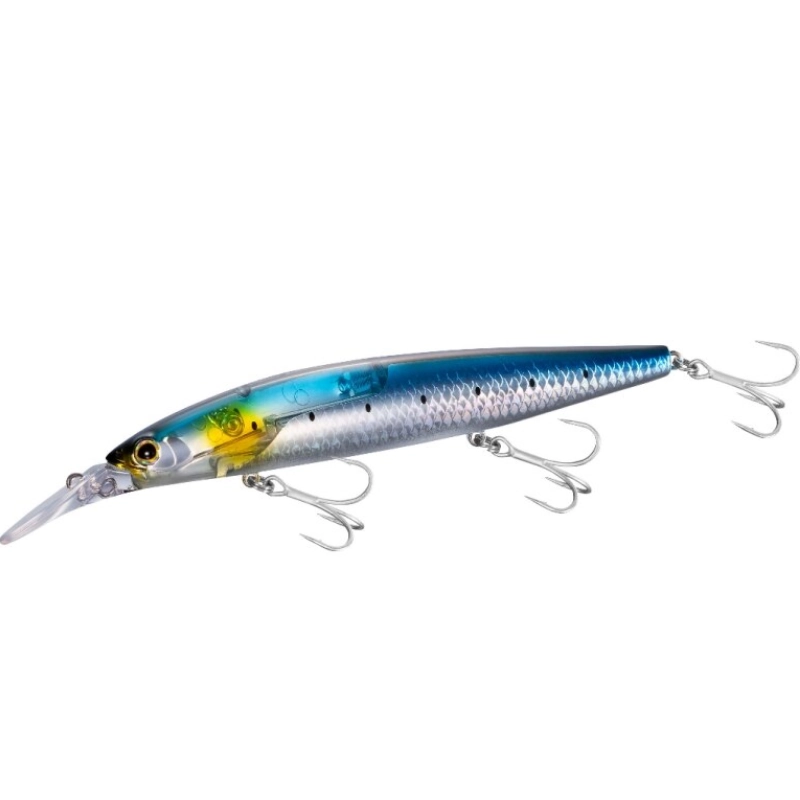 Sardine