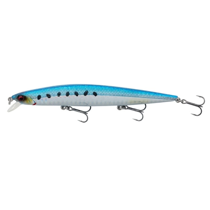 Sardine