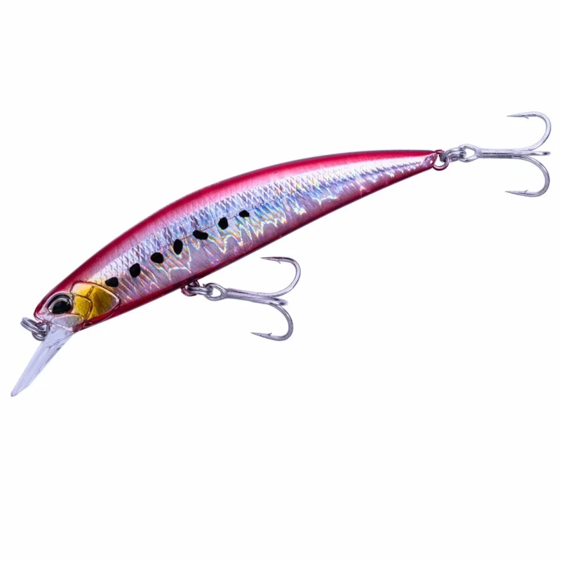 CPA0384 Fire Sardine