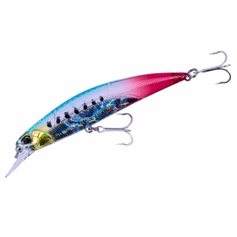 DDH0365 Bleeding Sardine