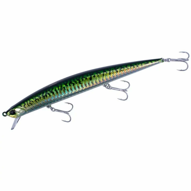 AHA0263 Green Mackerel Hd