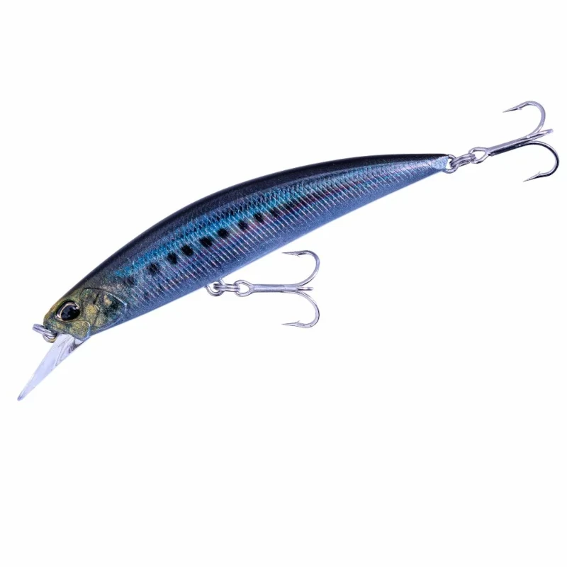 CMA0486 Real Sardine