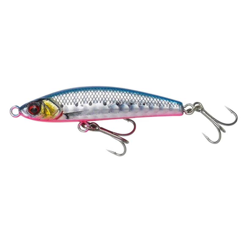 Pink Belly Sardine