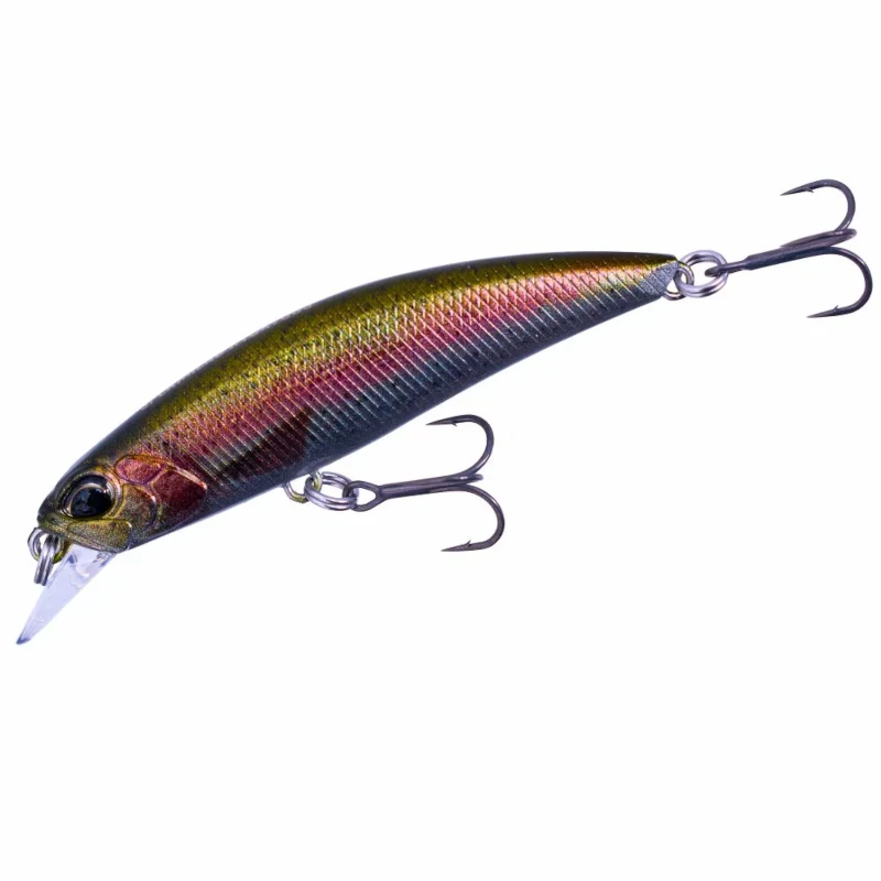 CCC3836 Rainbow Trout Nd