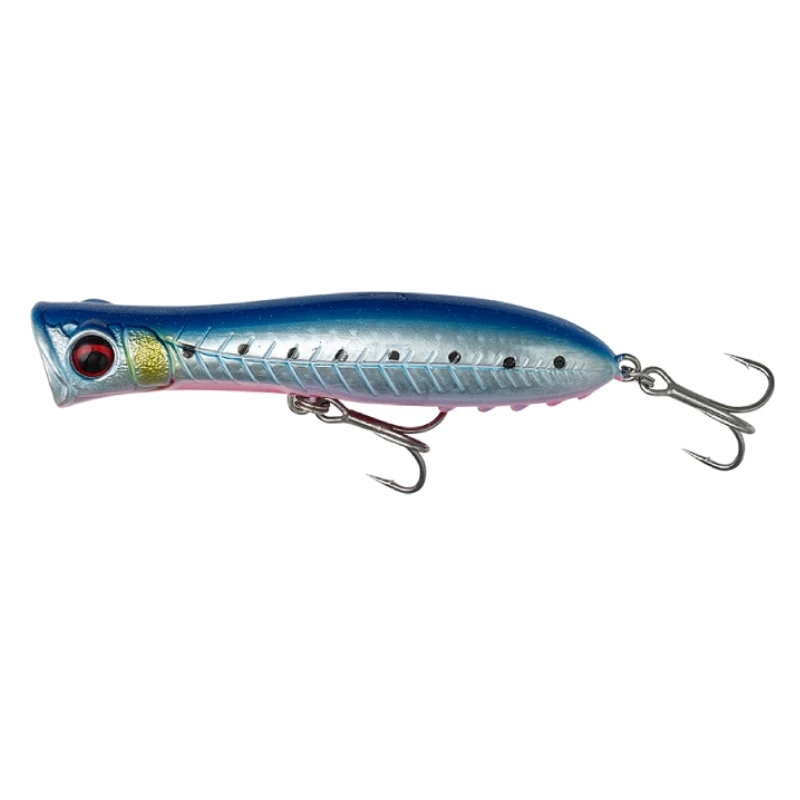 Pink Belly Sardine