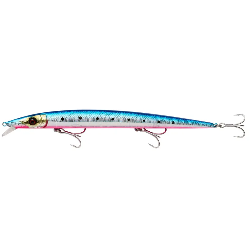 Pinkbelly Sardine