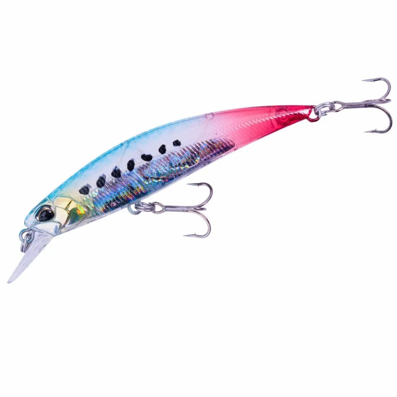 DDH0365 Bleeding Sardine