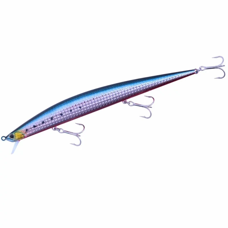 ABA0030 Sardine Rb