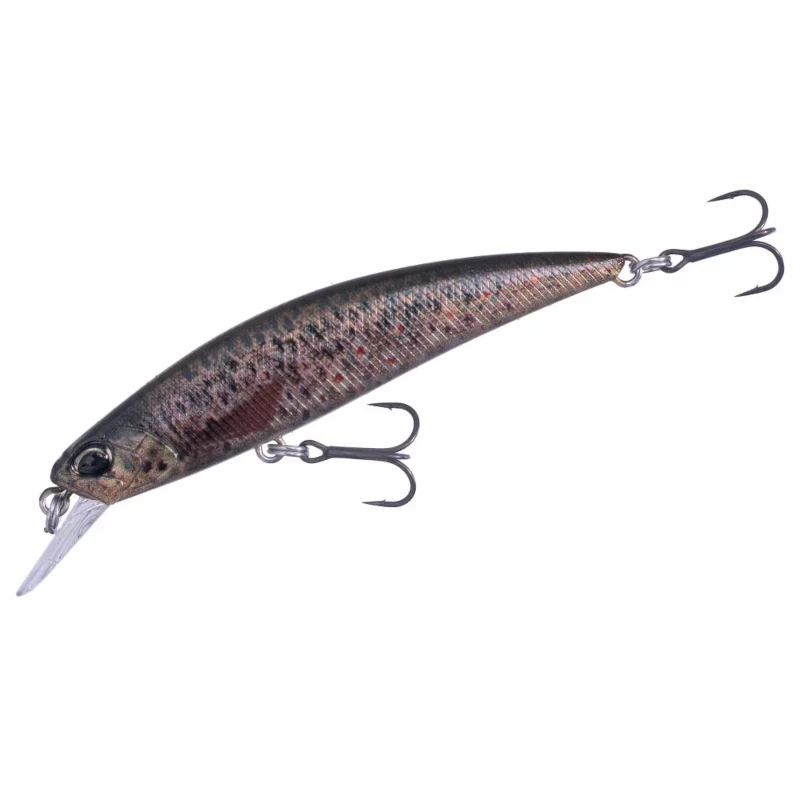 CCC3815 Brown Trout Nd