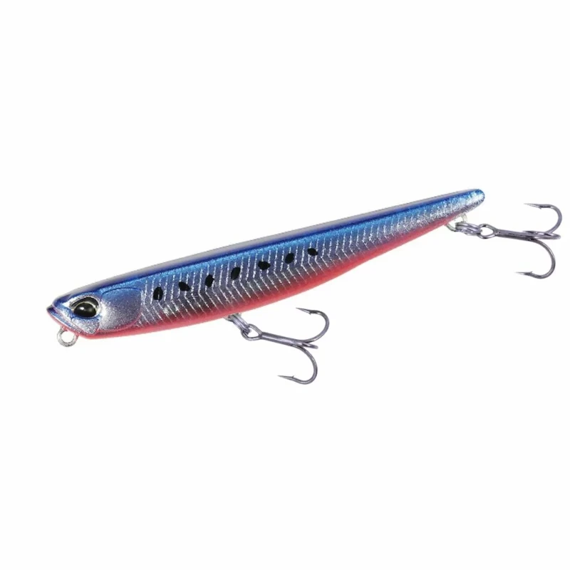 CCC0092 Lg Sardine