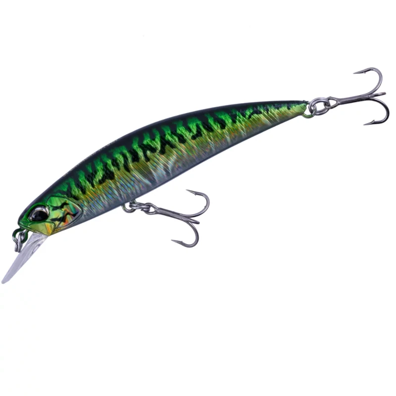 CPA0263 Green Mackarel