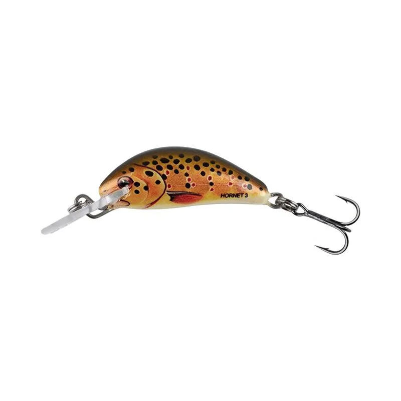 Trout