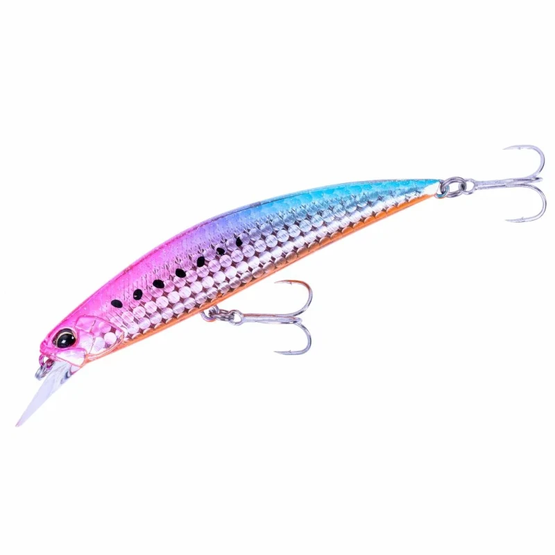 CBA0189 Sakura Sardine Ob
