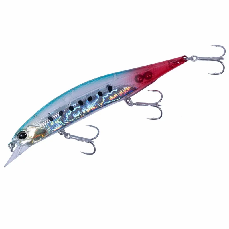 DDH0365 Bleeeding Sardine