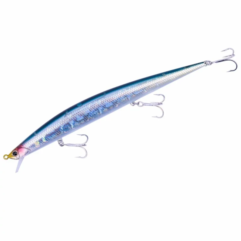 DDN0491 Euro Anchovy