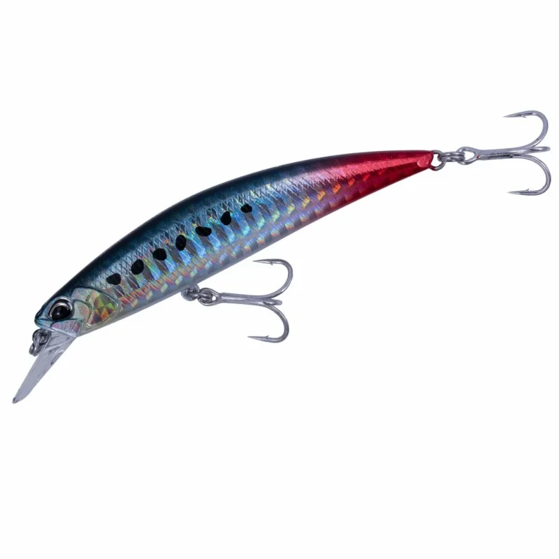 AHAZ125 Sardine Rt