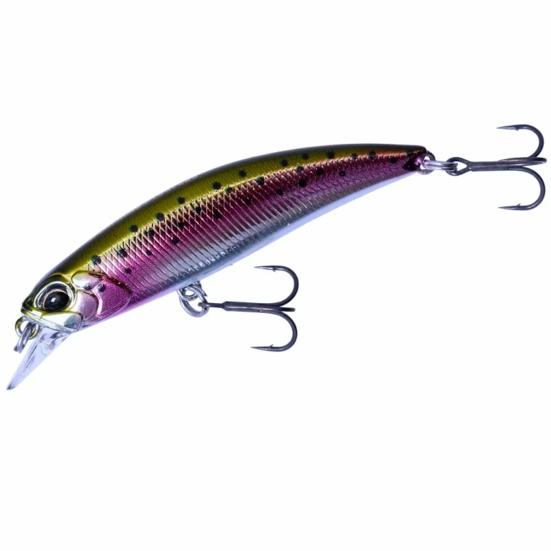 MCC4036 Rainbow Trout