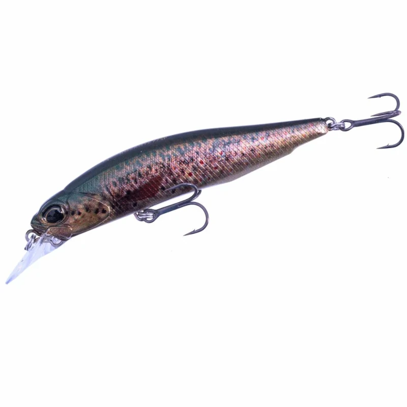 CCC3815 Brown Trout Nd