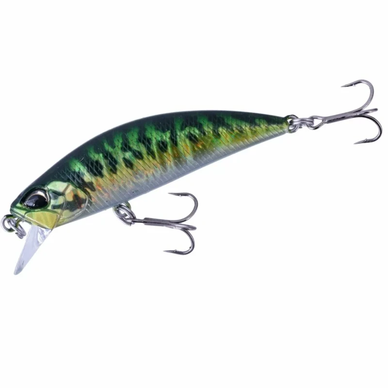 DPA0263 Green Mackerel