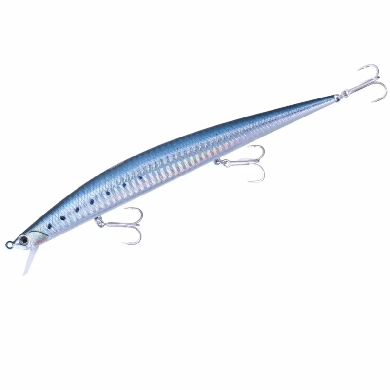 AHA0011 Sardine