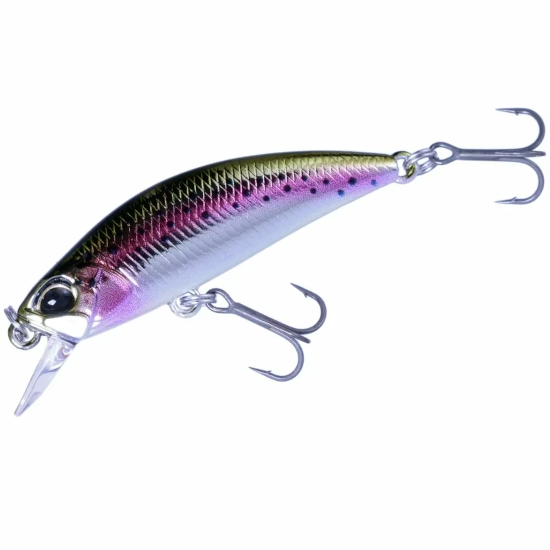 MCC4036 Rainbow Trout