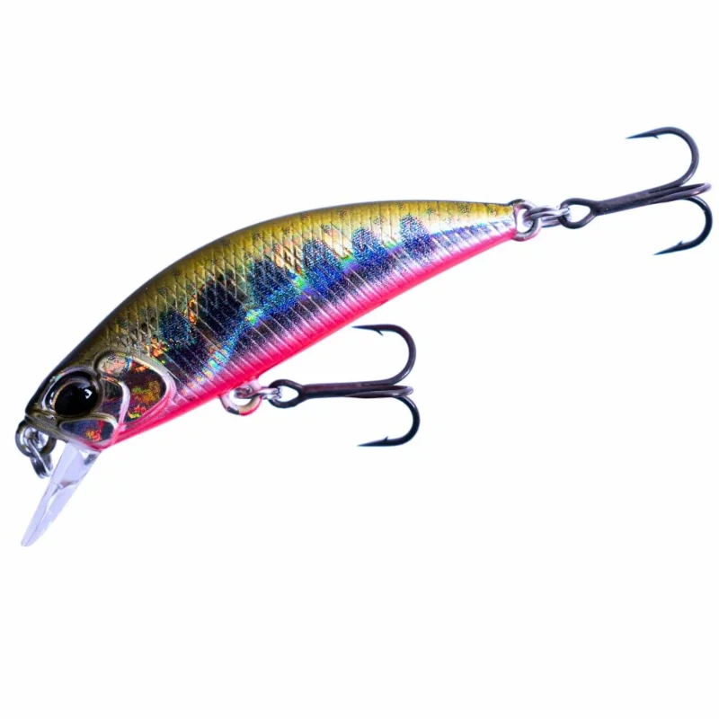 ADA4068 Yamame Red Belly