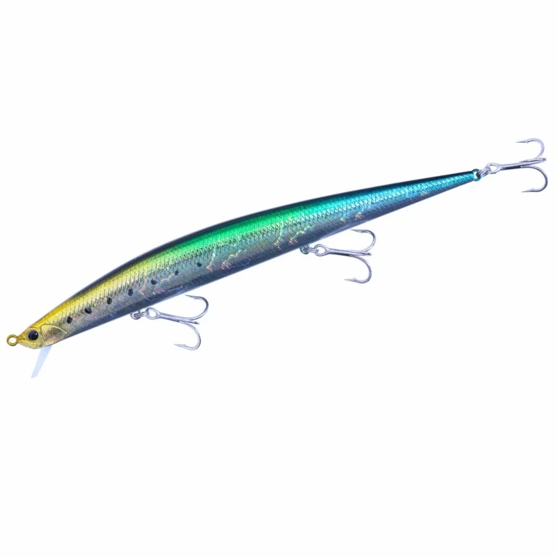 DDA0015 Ygb Sardine