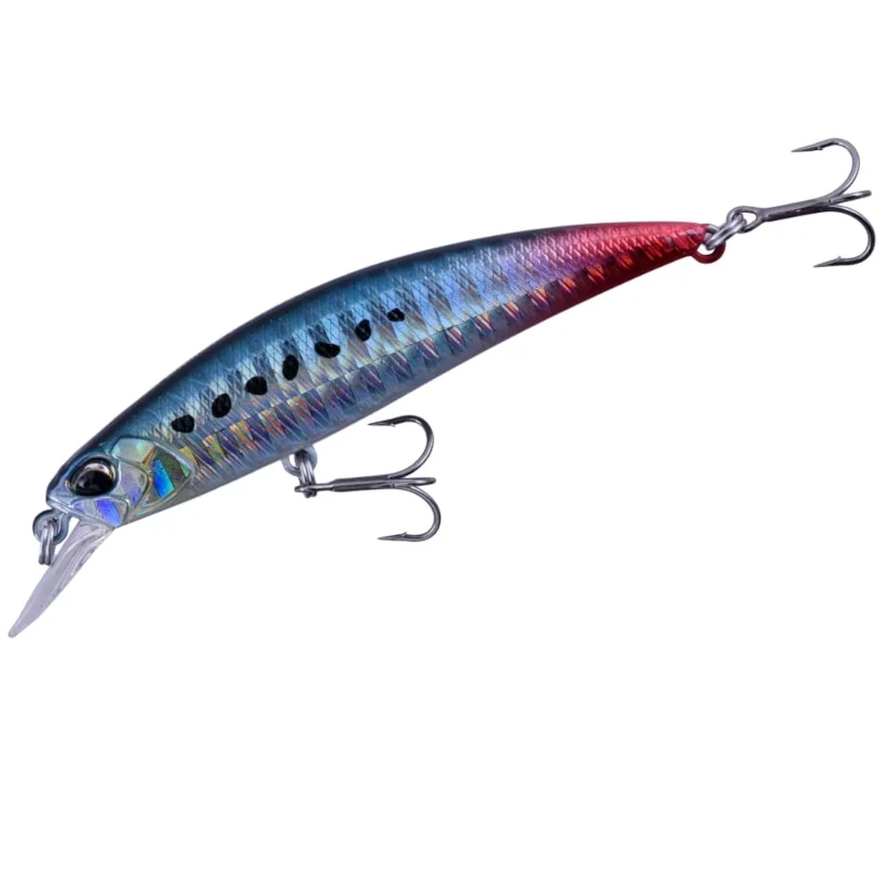 AHAZ125 Sardine Rt