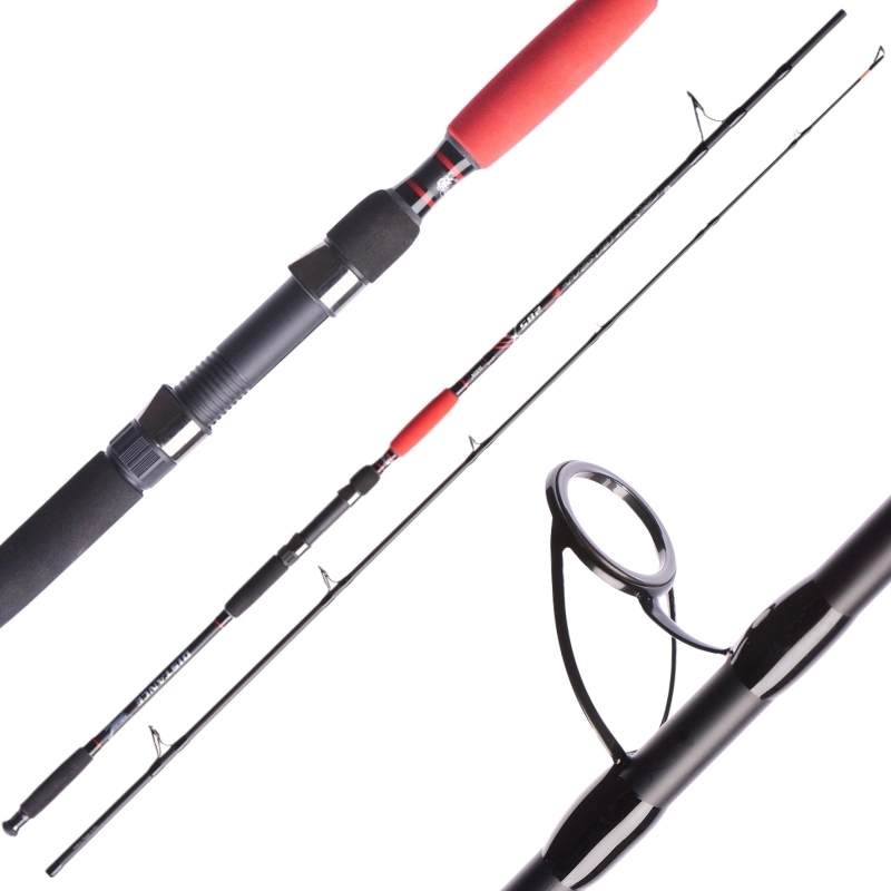 JAXON Catfish E Distance 315cm 400g