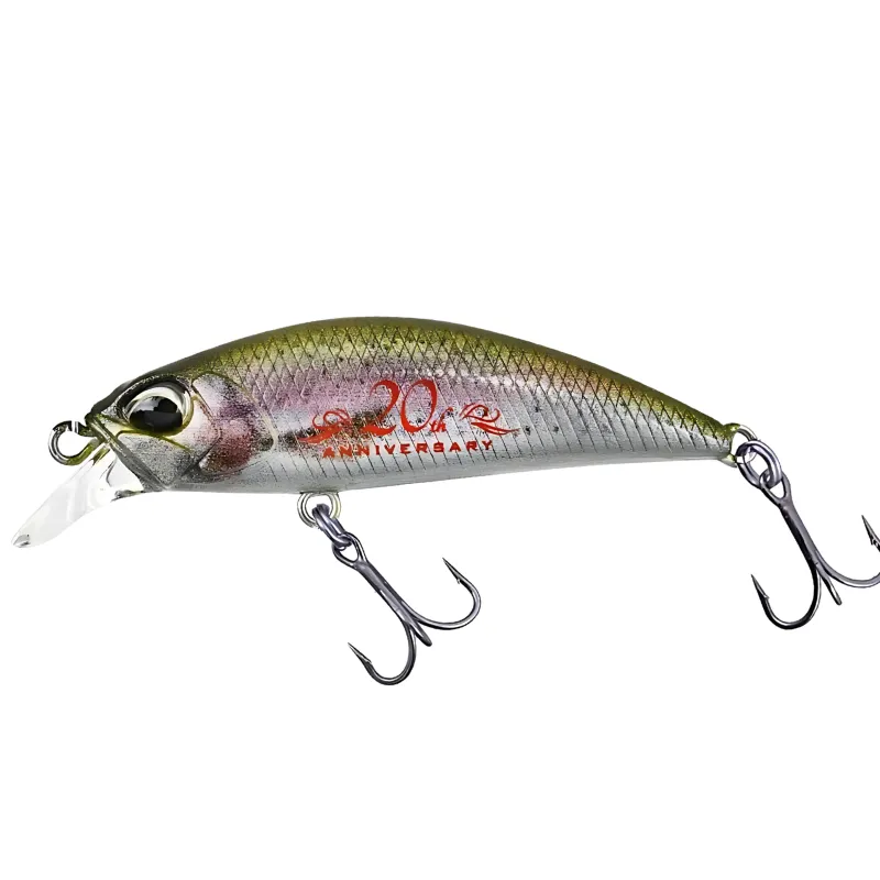 CCC3836 Rainbow Trout Nd