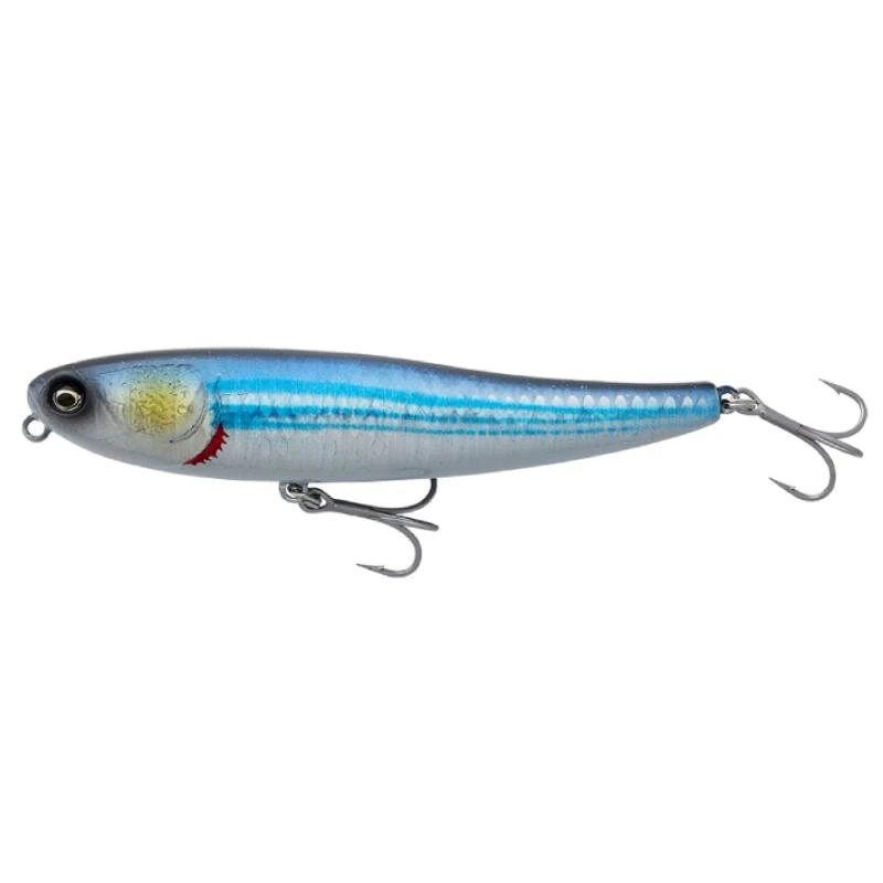 Blue Mullet