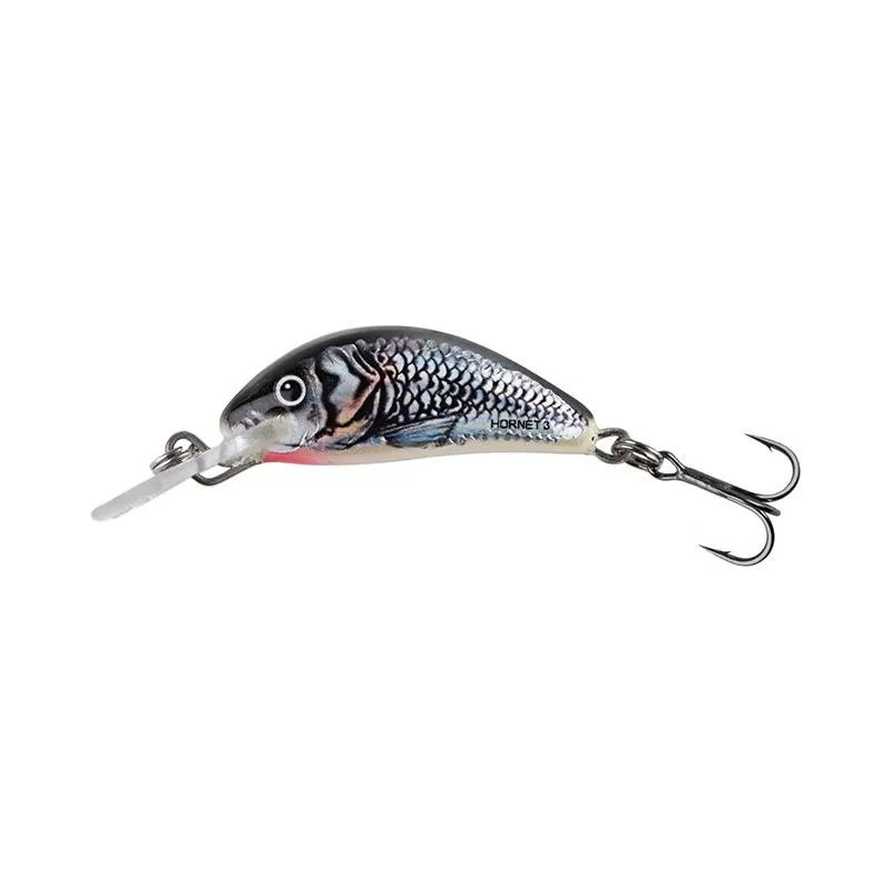 Holographic Grey Shiner