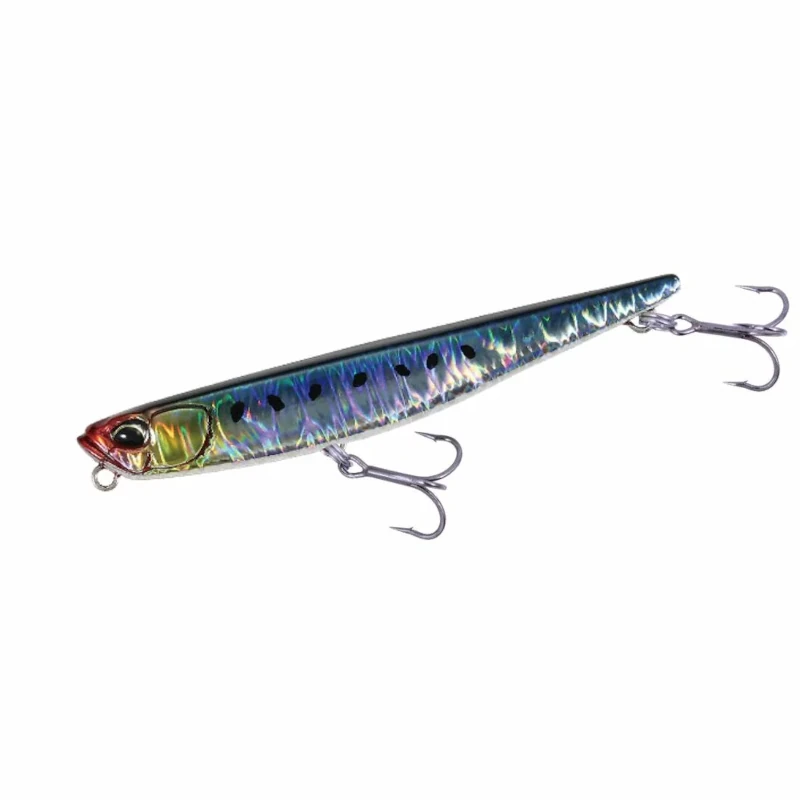 CPB0054 Genkai Sardine
