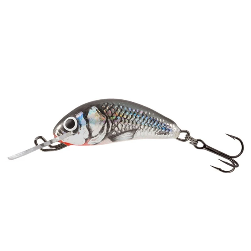 Holographic Grey Shiner