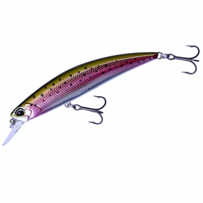 MCC4036 Rainbow Trout