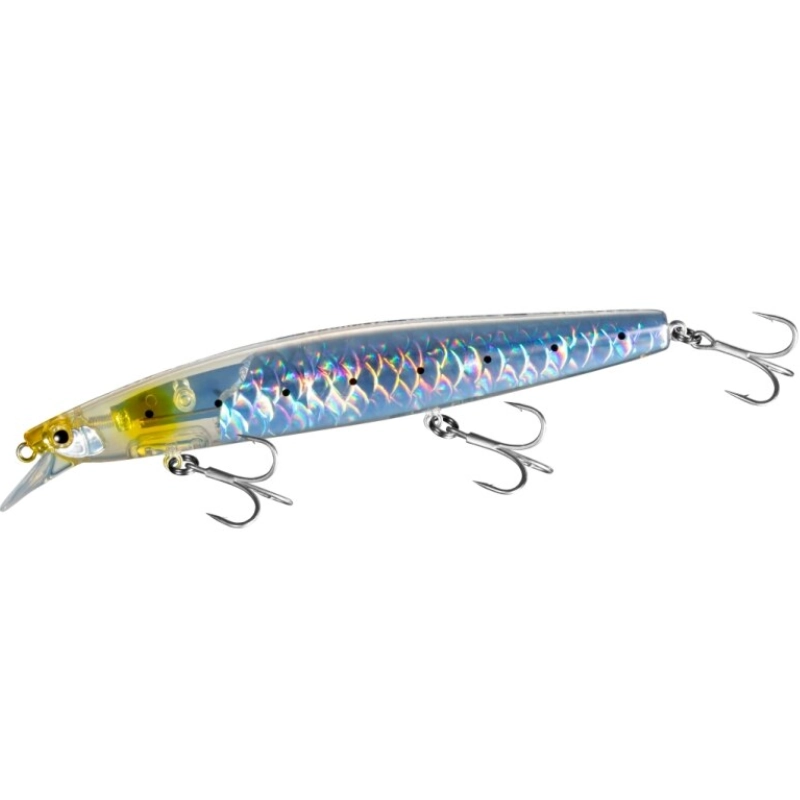 S Sardine