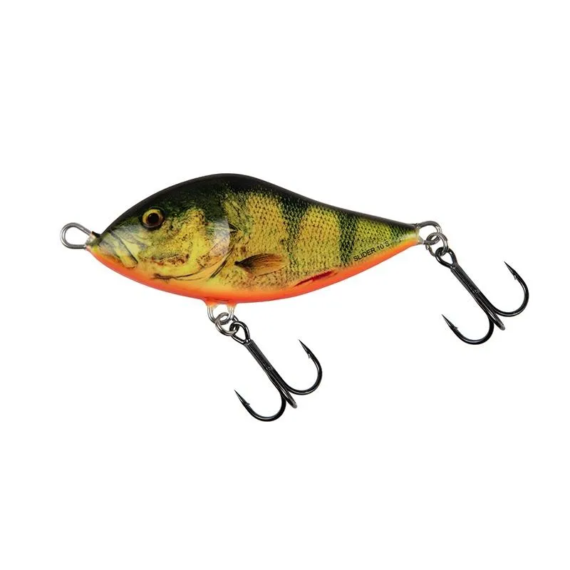 Real Hot Perch