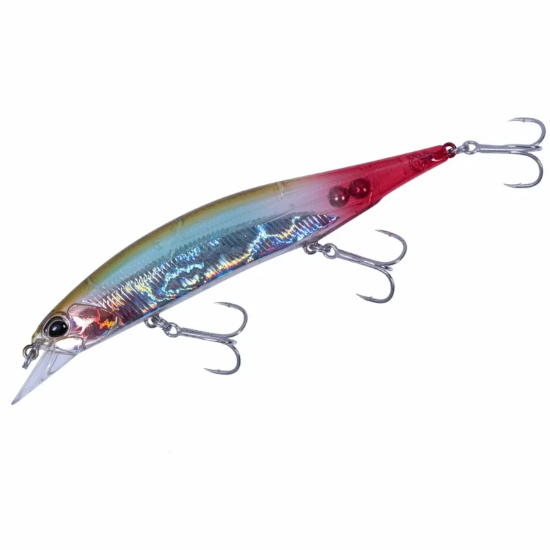DDH0186 Bleeding Anchovy
