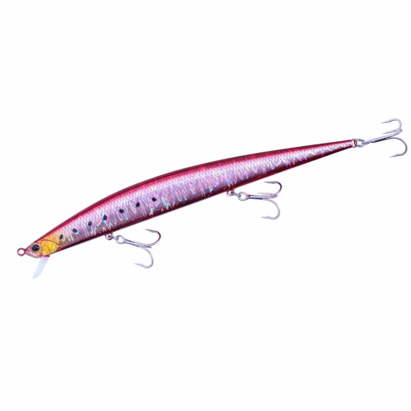 DPA0384 Fire Sardine