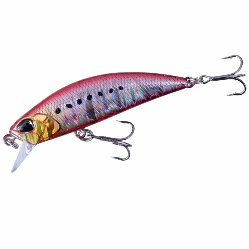 DPA0384 Fire Sardine