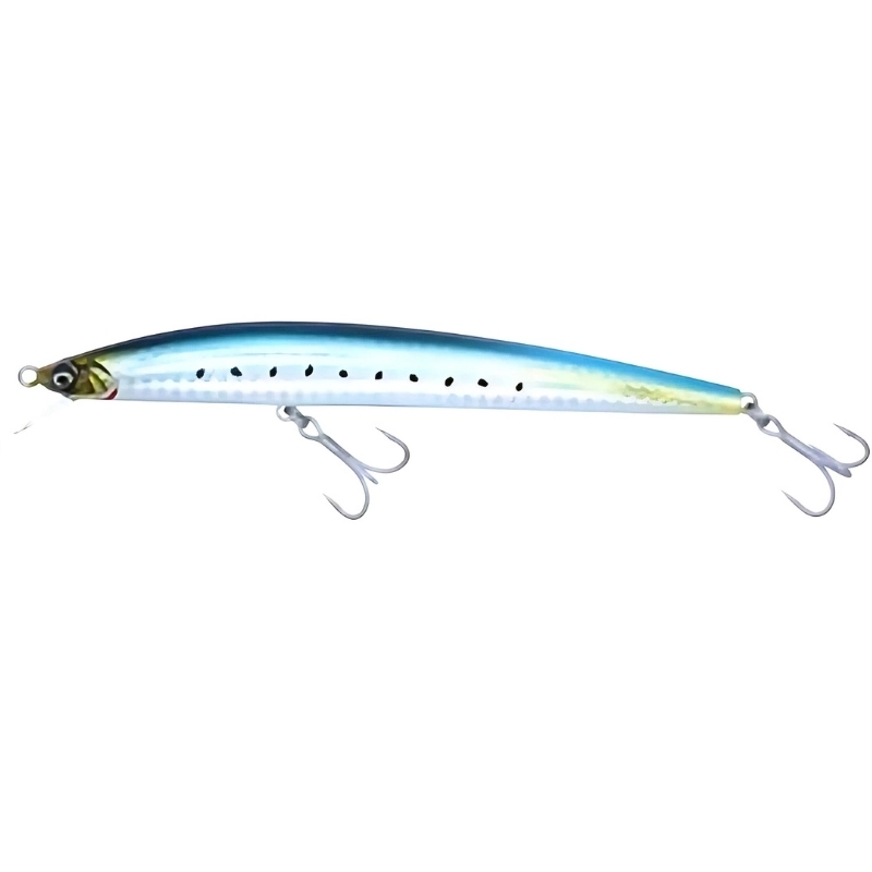 Sardine