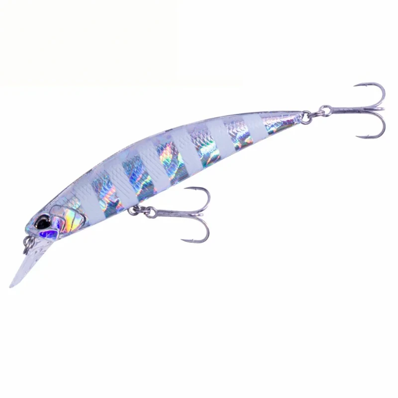 GJA0101 Zebra Glow