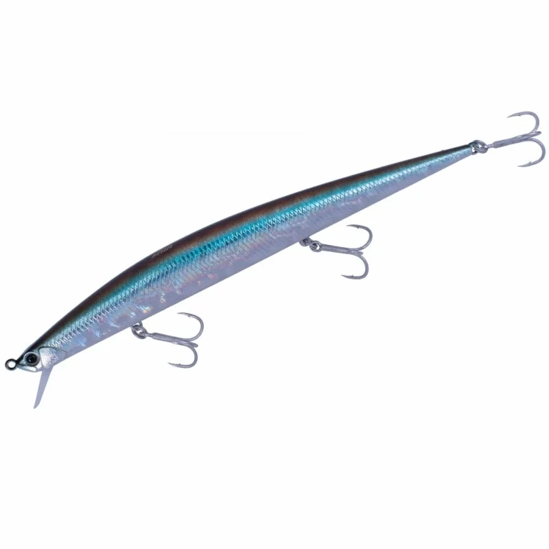 ADAZ039 Ocean Smelt