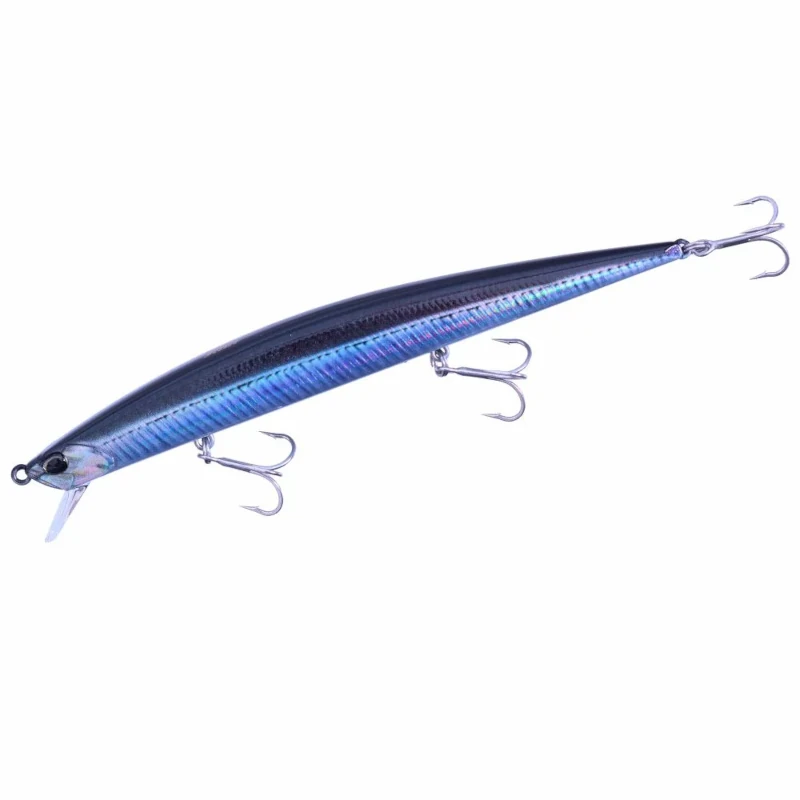 CNA0842 Real Anchovy