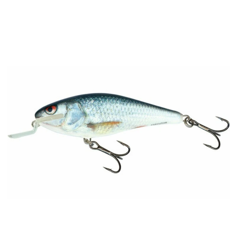 Real Dace