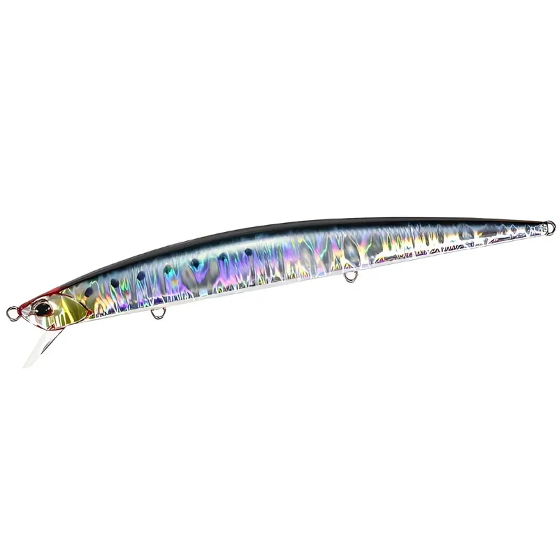 CPB0054 Genkai Sardine