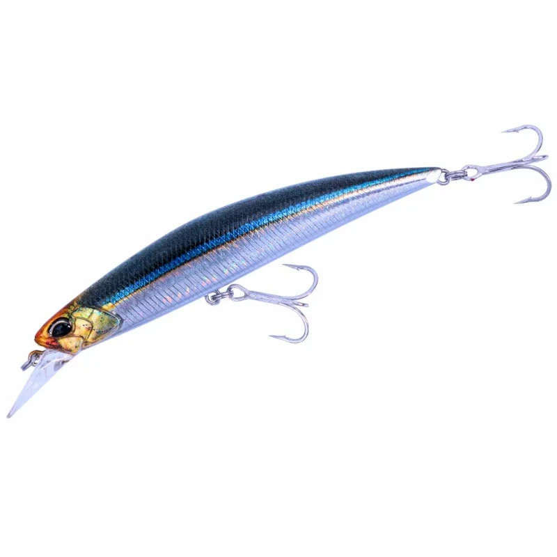 CYA0582 Blackear Sardine