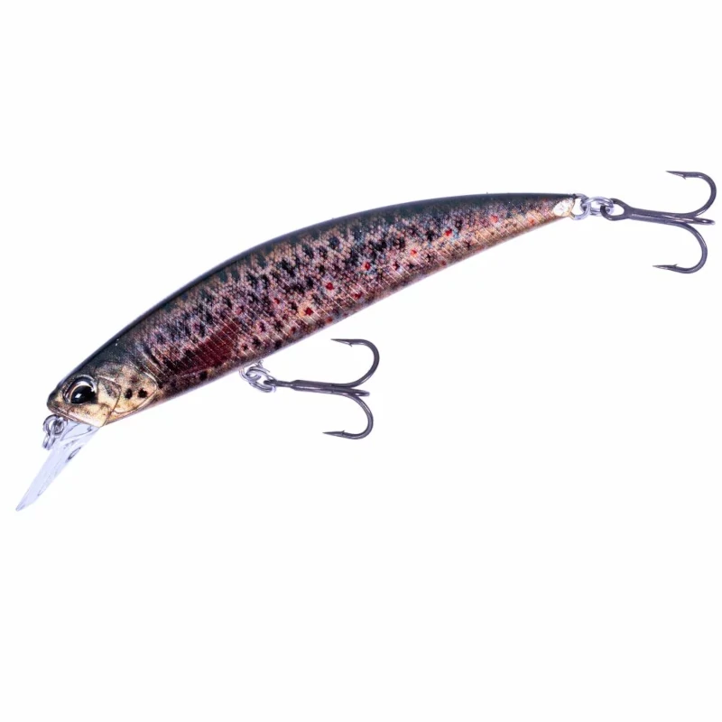 CCC3815 Brown Trout Nd